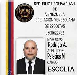 Palacio R 7853🟢