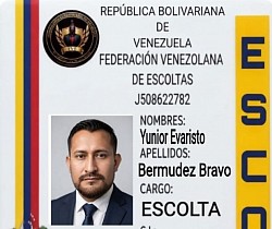 BERMUDEZ Y 4871🟢